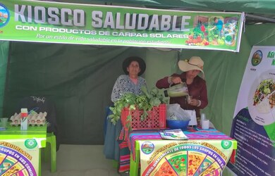 Desarrollo local